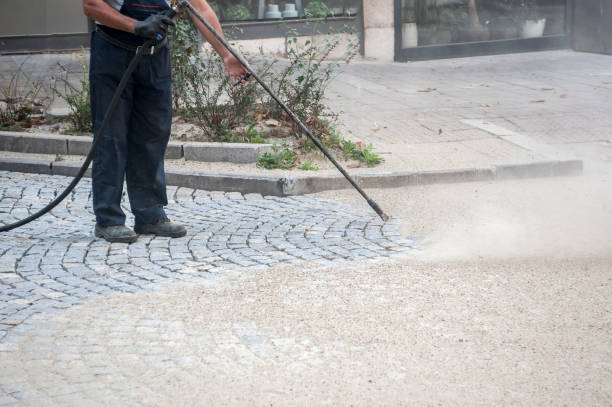 Best Roof Washing  in USA